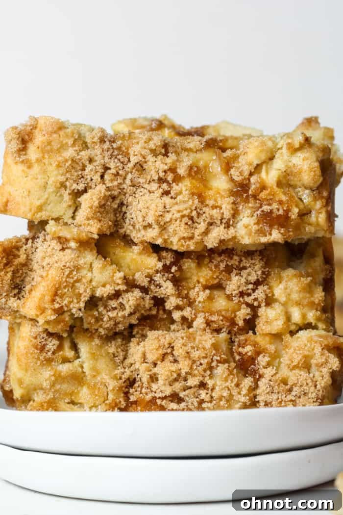 A whole loaf of cinnamon bread with apples, garnished with a sprinkle of powdered sugar.