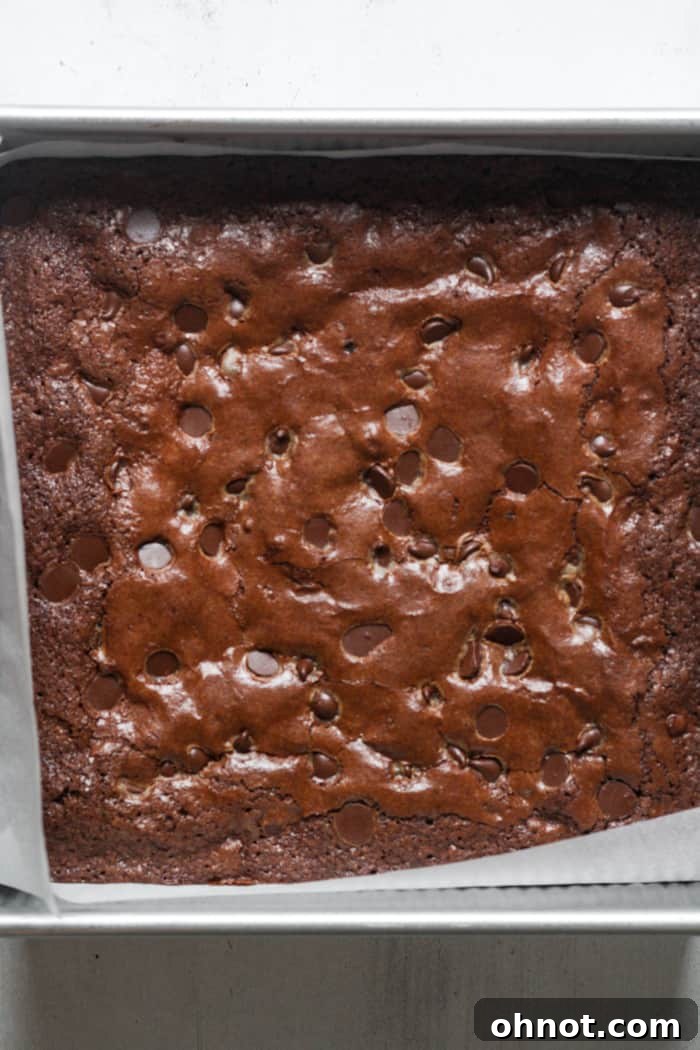 Freshly baked almond flour brownies cooling in a parchment-lined square pan, showing their fudgy texture and crackly top.