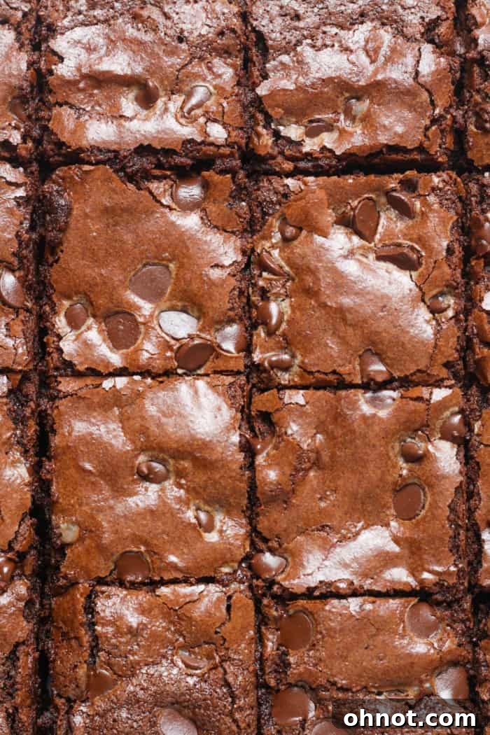 Perfectly sliced almond flour brownies arranged on a cooling rack, showcasing their rich, fudgy interior and crackly tops, ready to be served.