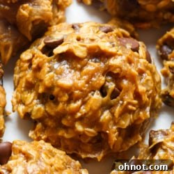 Flourless oatmeal cookies.