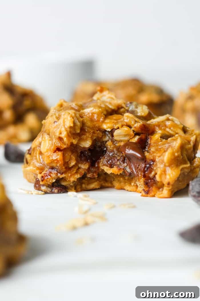 Close-up of a gooey flourless oatmeal cookie with visible oats and chocolate chips.