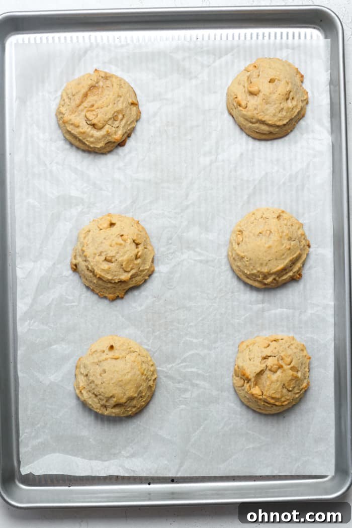 Freshly baked peanut butter chip cookies, golden brown at the edges.