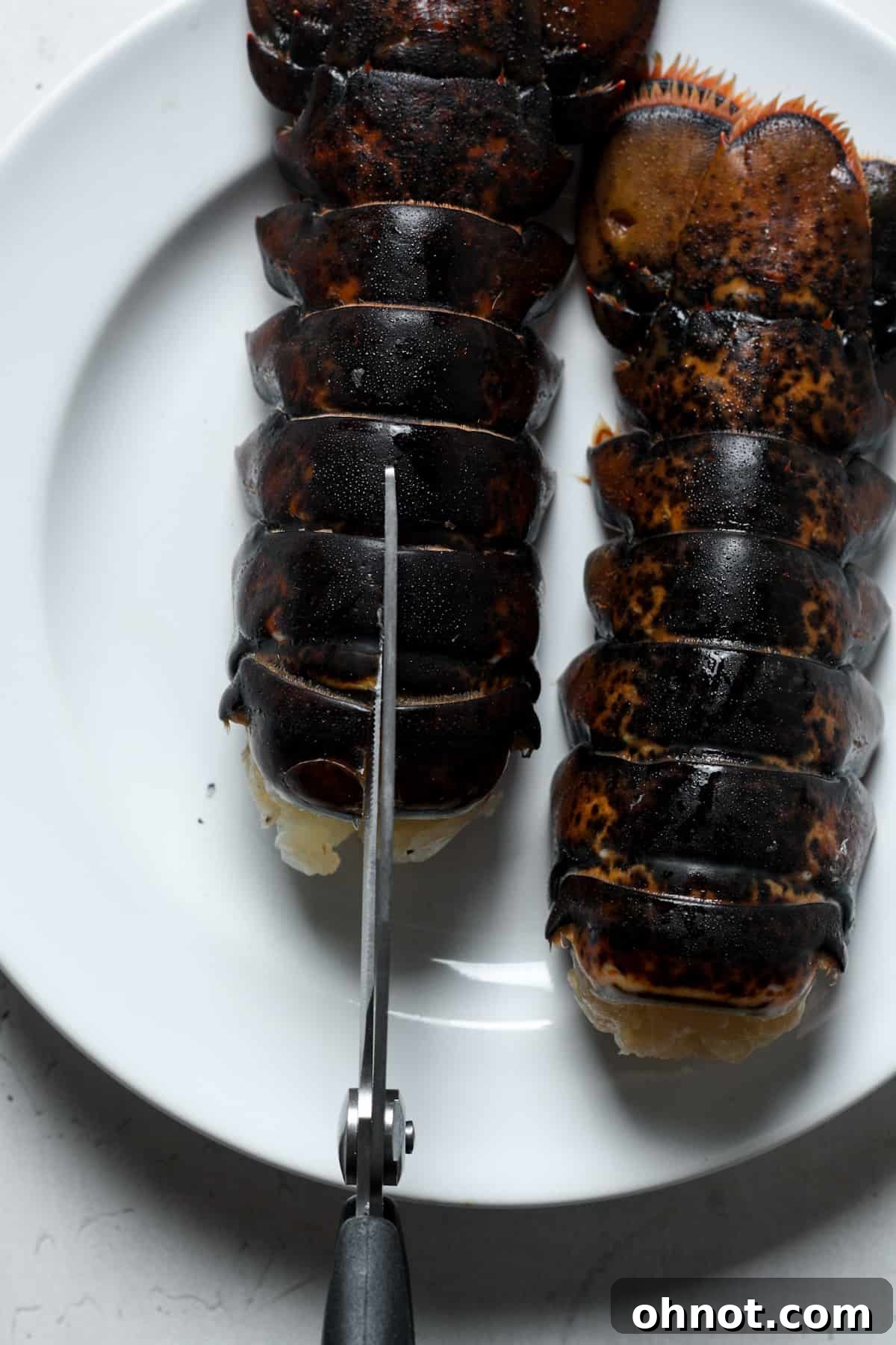 Kitchen shears slicing lobster tails