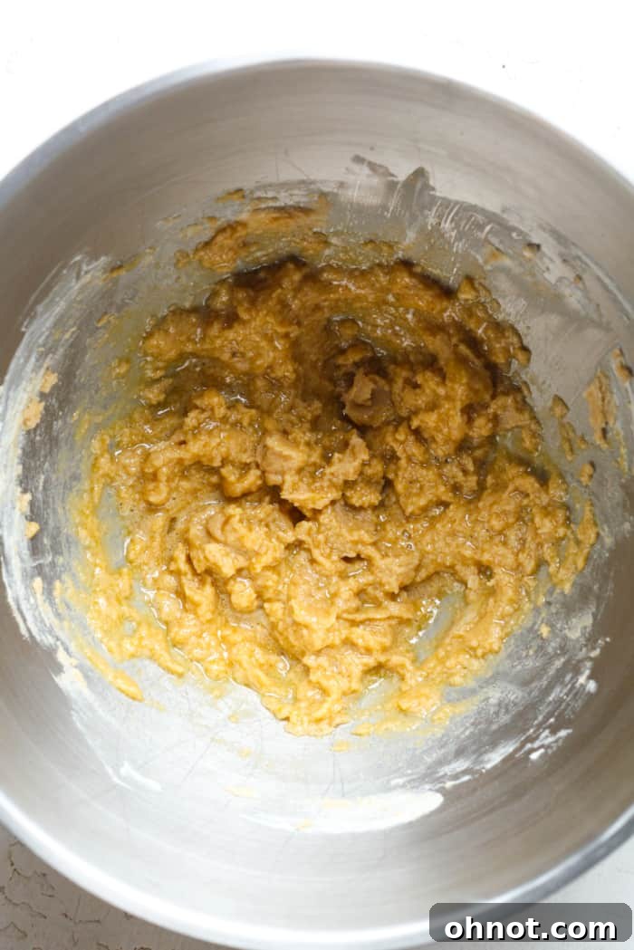 Wet cookie dough mixture after adding egg and vanilla.