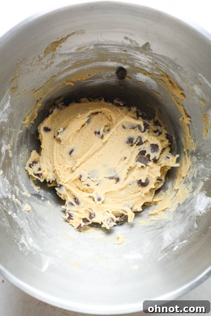 Dark chocolate chip cookie dough in a bowl.