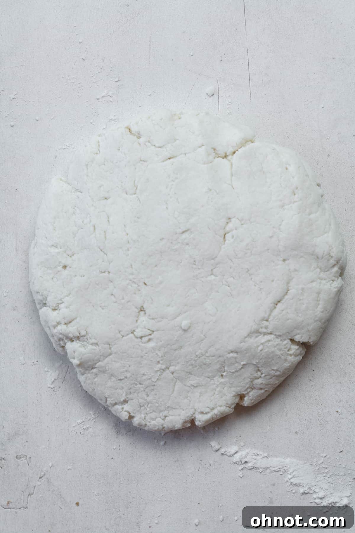 The dough ball pressed into a disc shape.