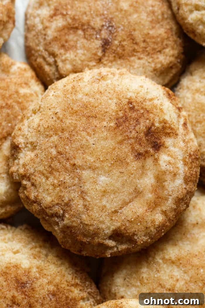 Delicious freshly baked latte cookies arranged beautifully.