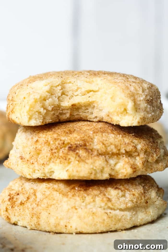 A stack of beautifully spiced chai latte cookies, ready to be enjoyed.