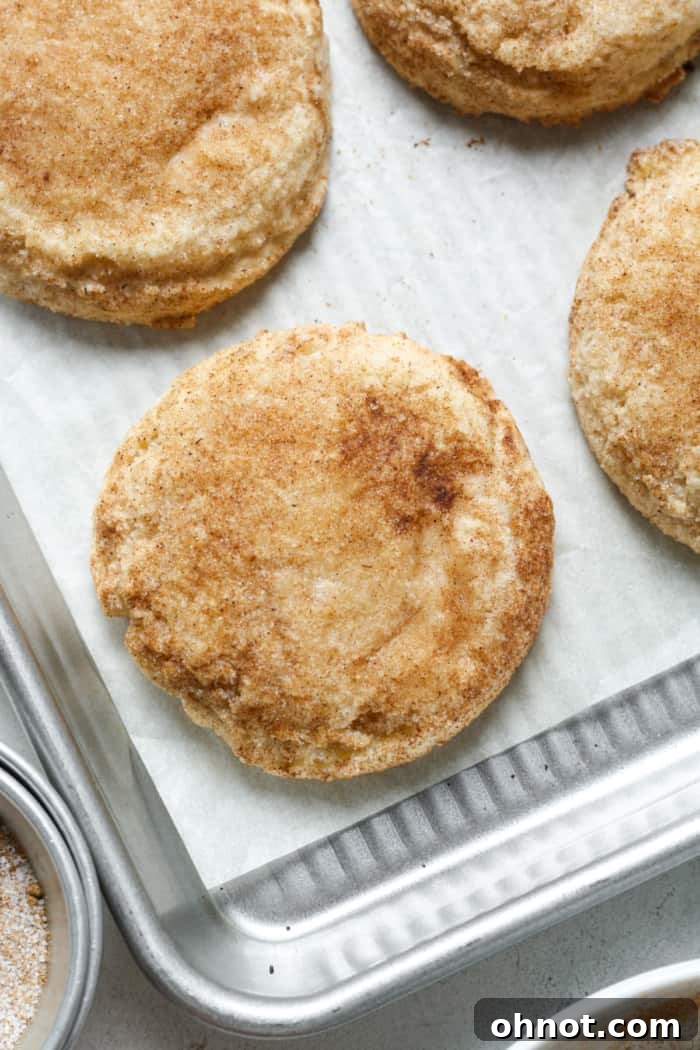 Beautifully spiced chai latte cookies, glistening with sugar coating.