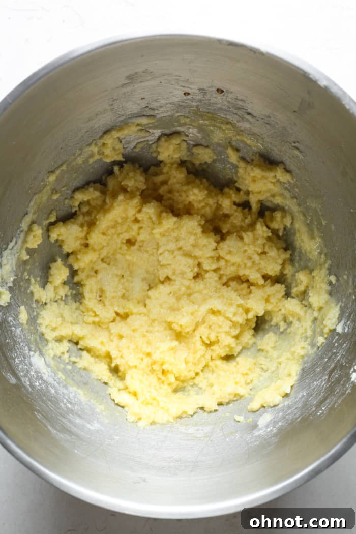 The gooey mixture of butter, sugar, eggs, and vanilla extract in the mixing bowl.