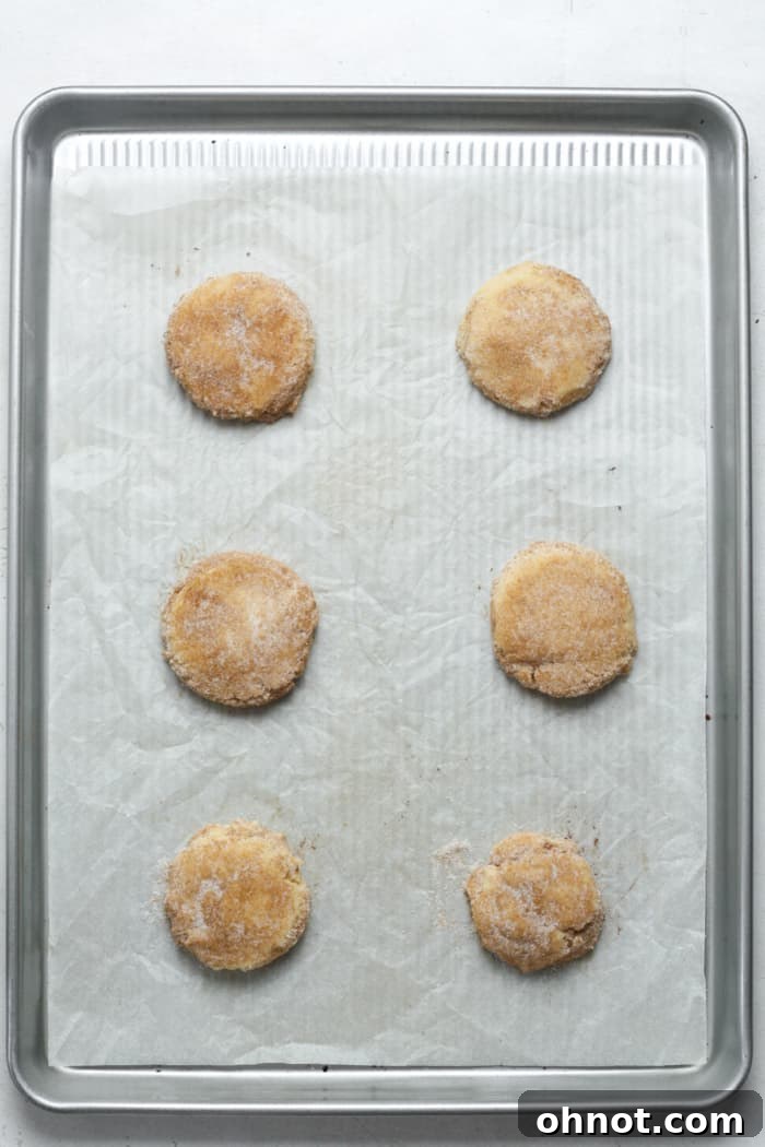 Pressed chai cookie dough balls, flattened slightly on a baking sheet.