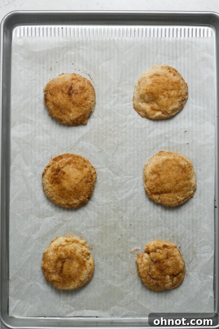 Freshly baked latte cookies, golden and soft, on a baking sheet.