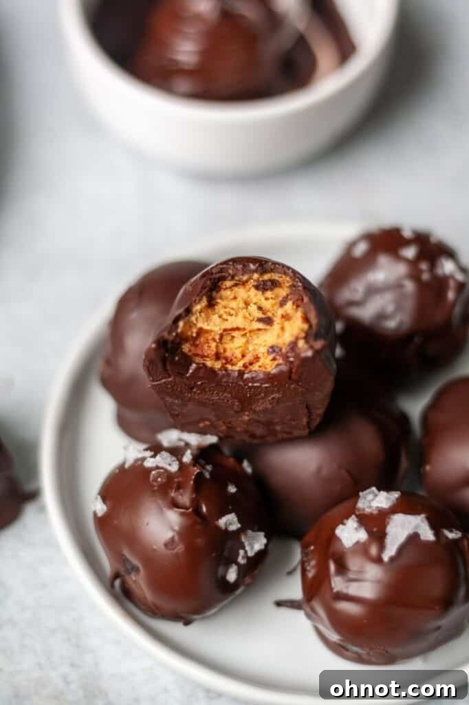 A plate of perfectly crafted Vegan Paleo Chocolate Covered Almond Butter Balls, ready to be enjoyed.