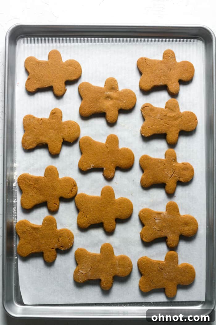 Freshly baked vegan ginger cookies cooling on a wire rack.