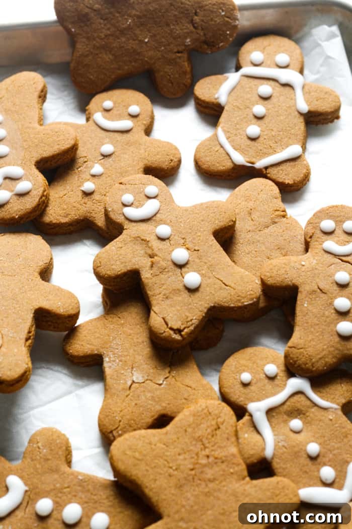 Decorated vegan gingerbread cookies with icing, showcasing festive designs.