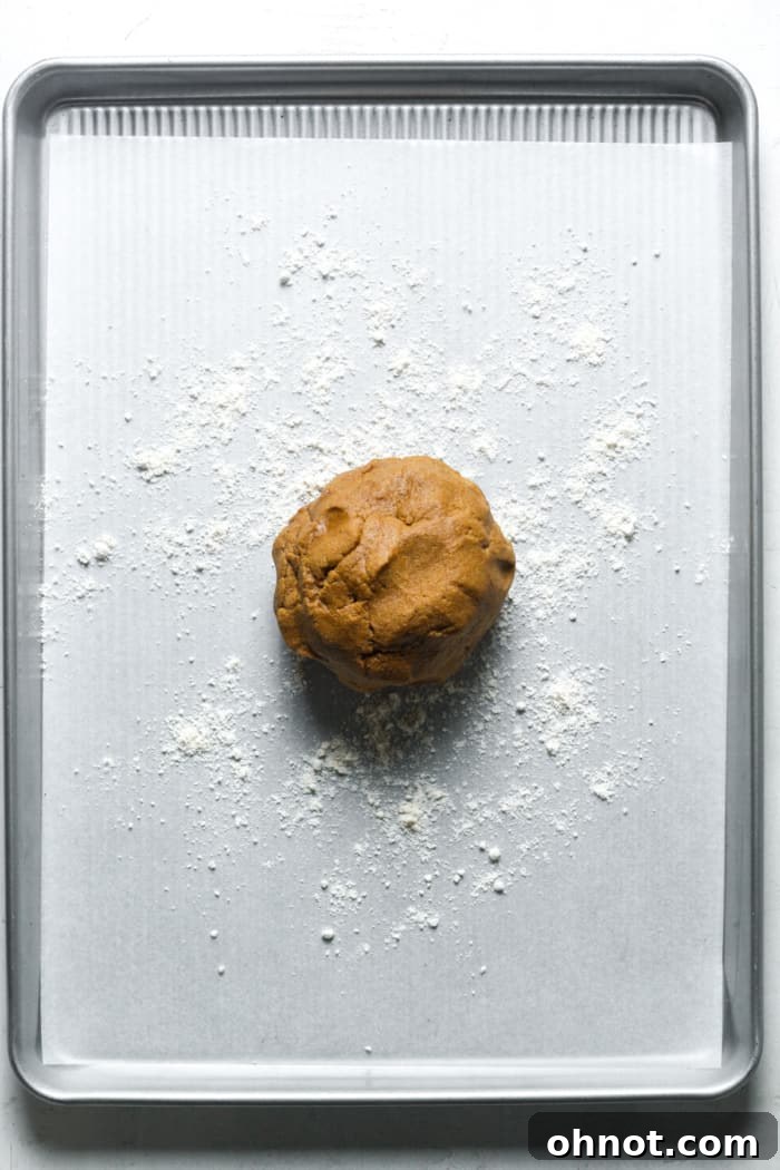 Ball of gingerbread dough placed on a floured parchment-lined baking sheet.