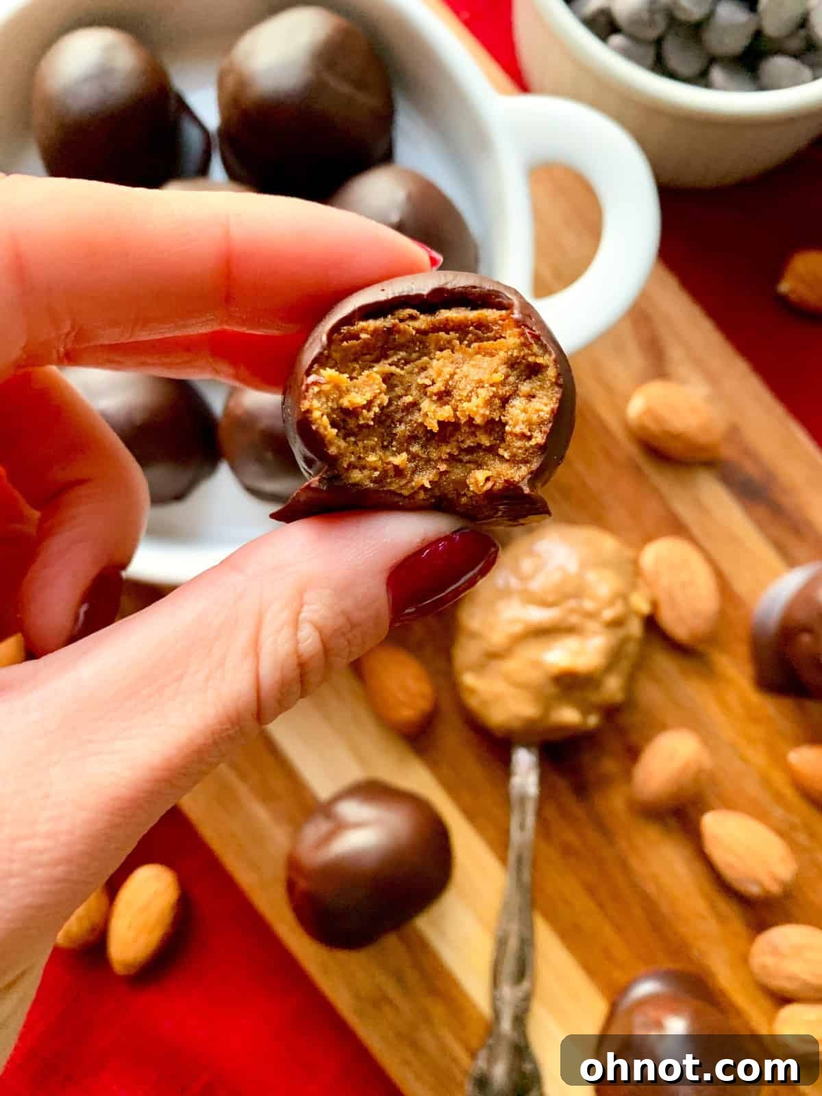 Delicious no-bake gingerbread chocolate truffles coated in dark chocolate