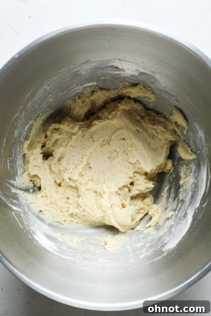 Thick, well-combined sugar cookie dough in a mixing bowl.