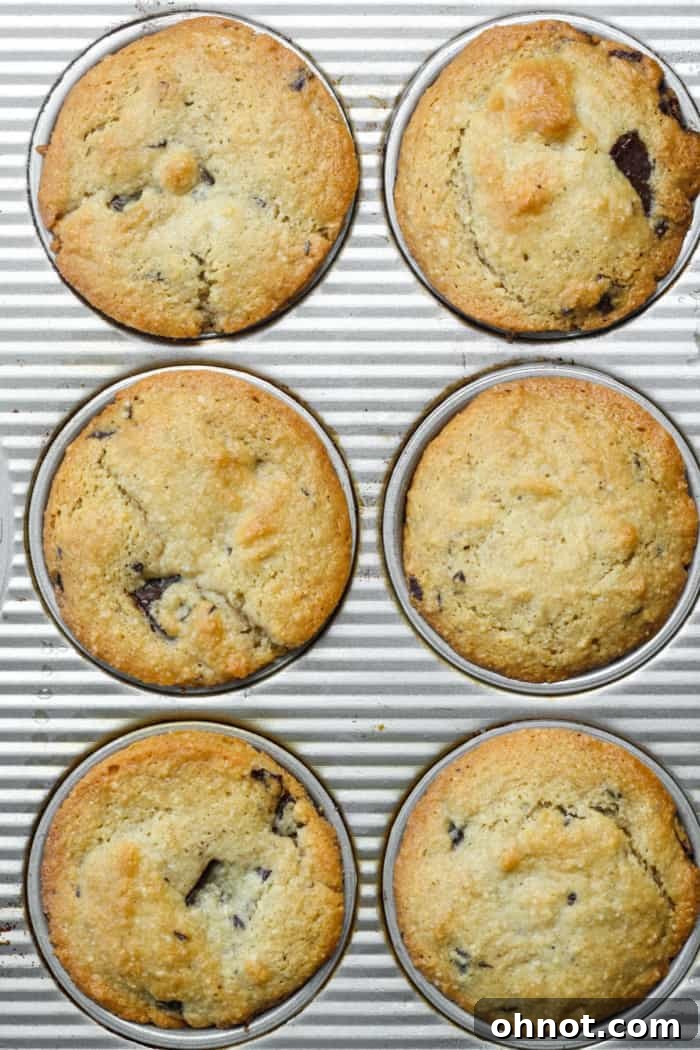 Freshly baked almond muffins, golden brown and perfectly risen, cooling in the muffin pan.