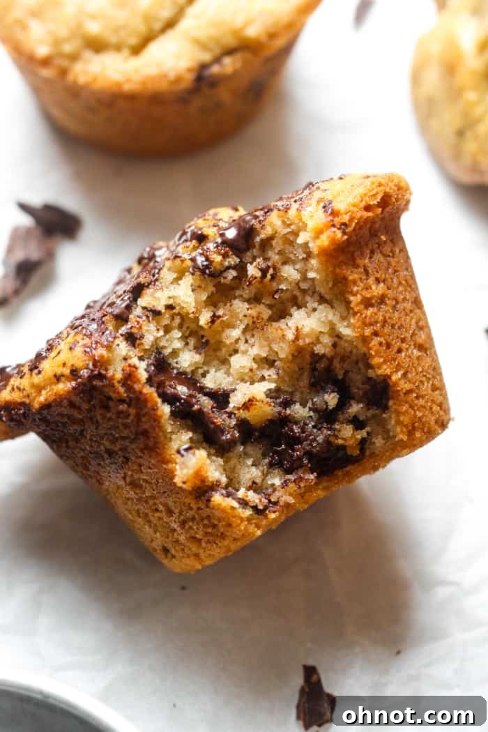 A delicious almond flour muffin with a bite taken out, revealing its moist and fluffy interior.