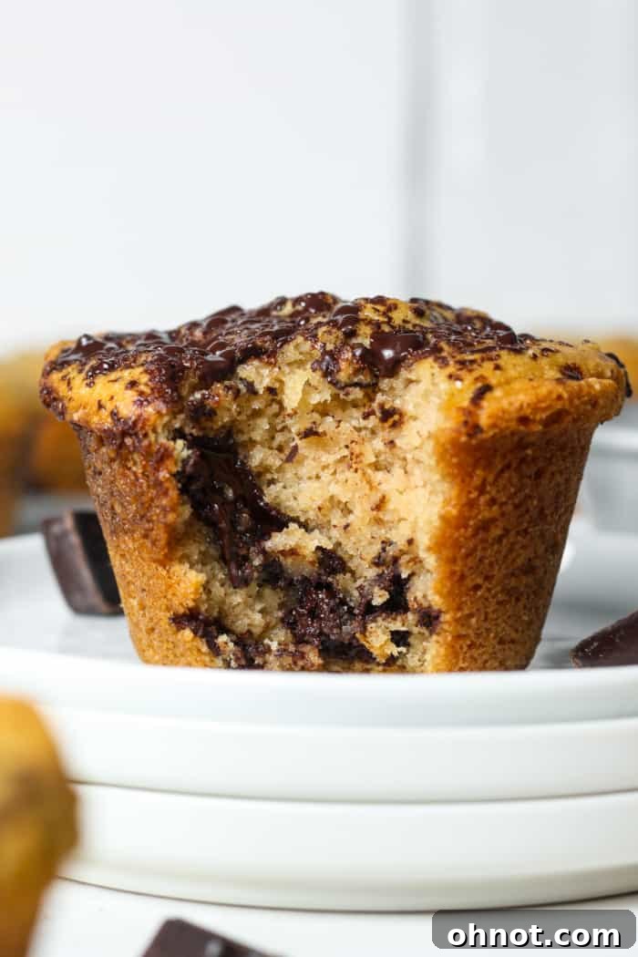 A beautifully plated almond flour muffin, ready to be enjoyed as a healthy baked good.