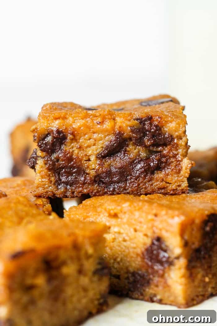 Deliciously moist and fudgy healthy pumpkin bars, perfect for fall desserts.