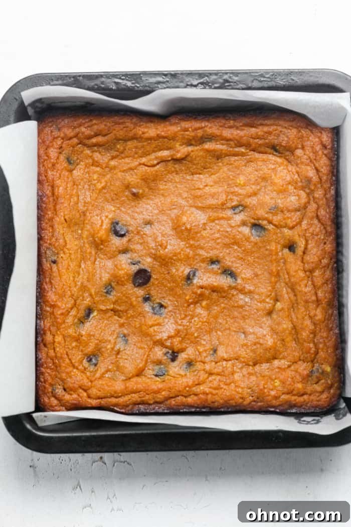 Freshly baked healthy pumpkin bars with melted chocolate chips, just out of the oven.