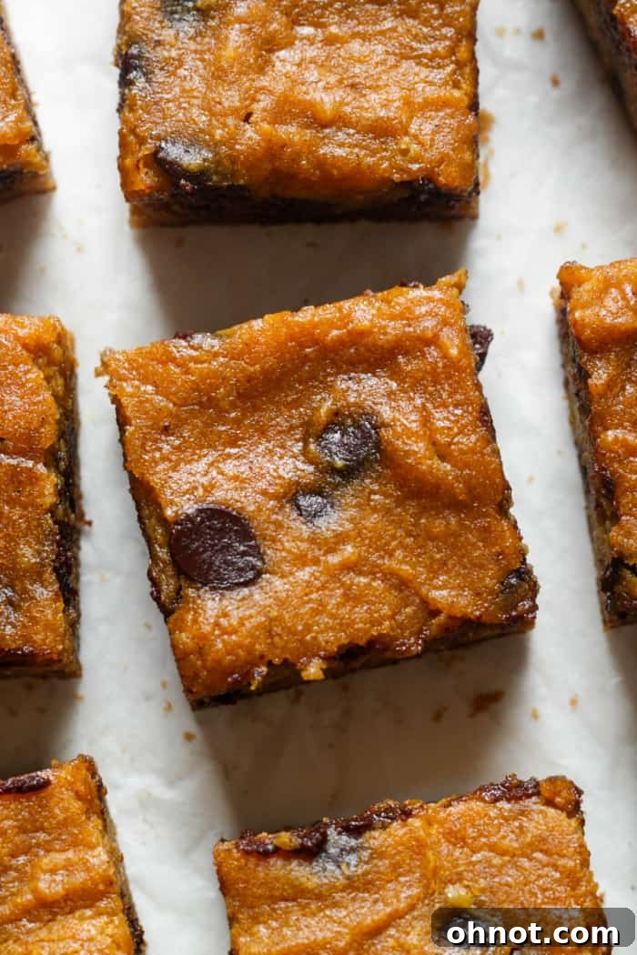 Perfectly sliced healthy pumpkin bars, revealing their moist interior and rich chocolate chips.