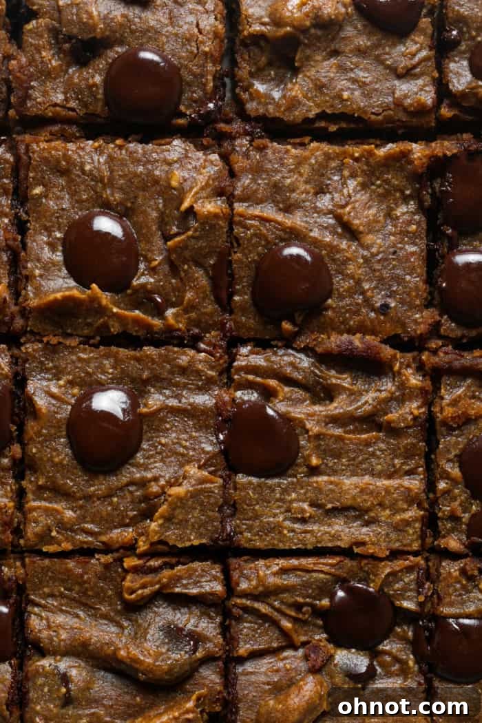 Perfectly sliced protein brownies with melted chocolate chips.