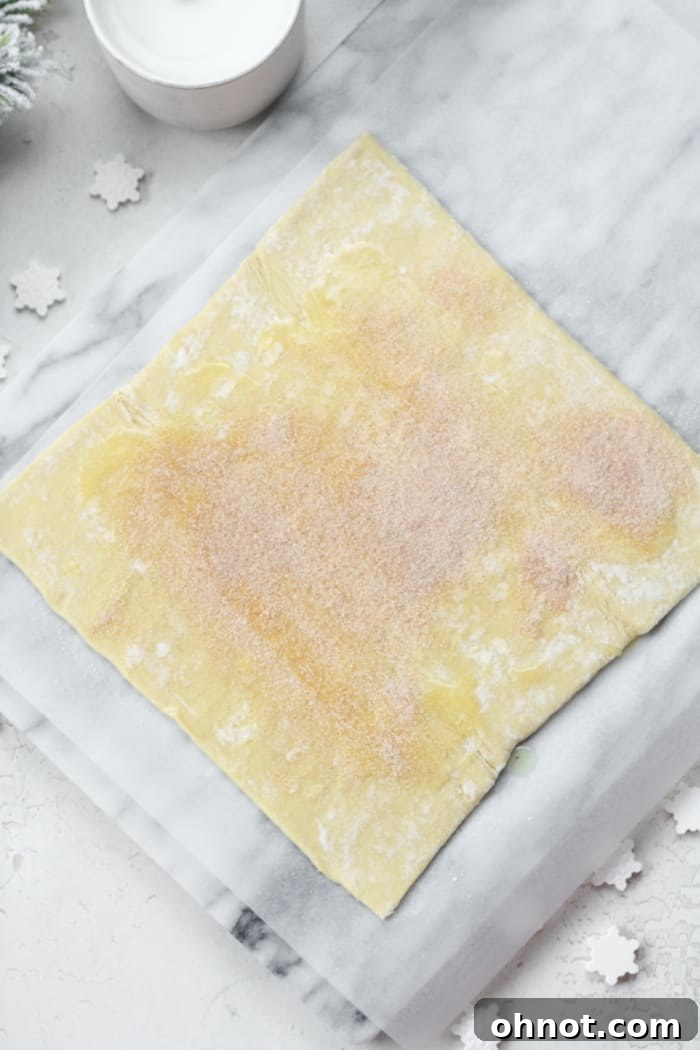 Puff pastry dough evenly sprinkled with cinnamon sugar mixture on a clean surface.