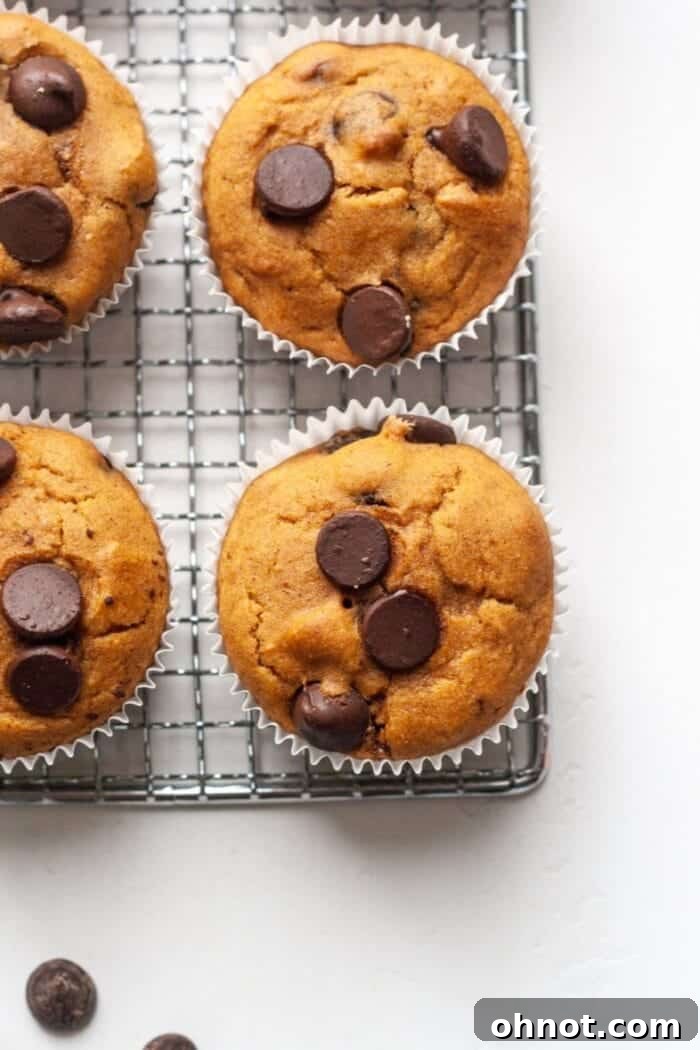 Freshly baked blender muffins cooling on a wire rack.