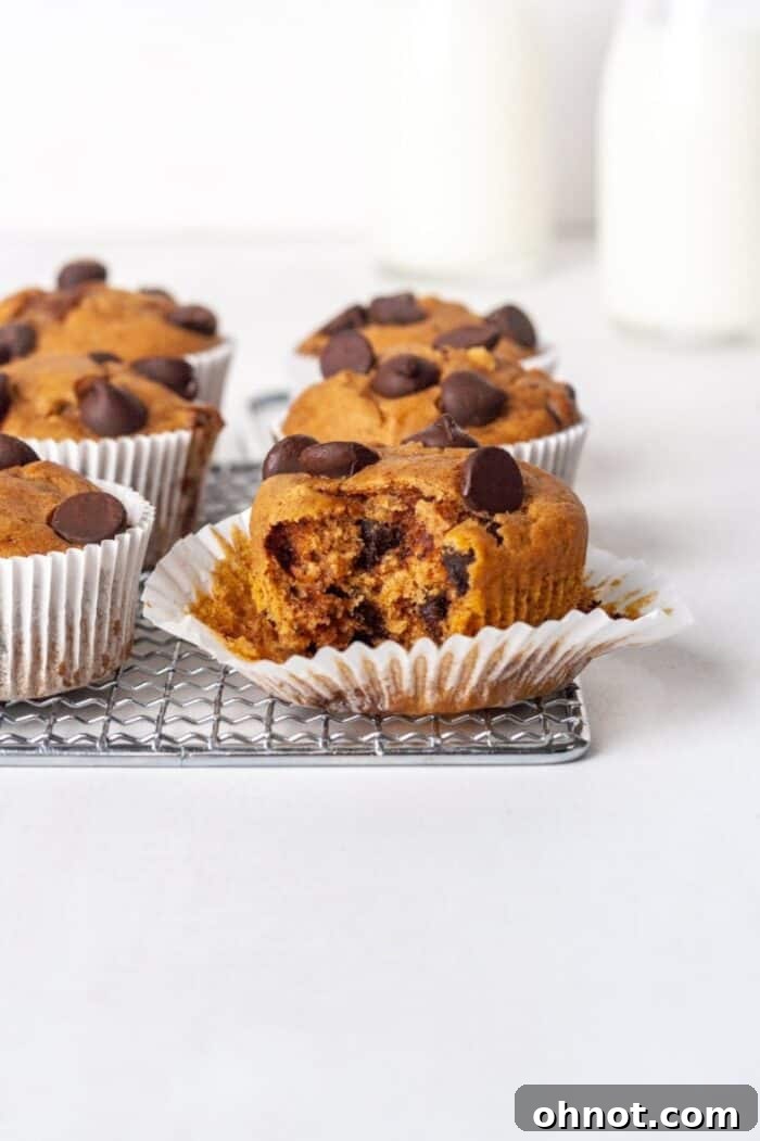 Healthy baked goods, showing muffin batter being prepared in a blender.