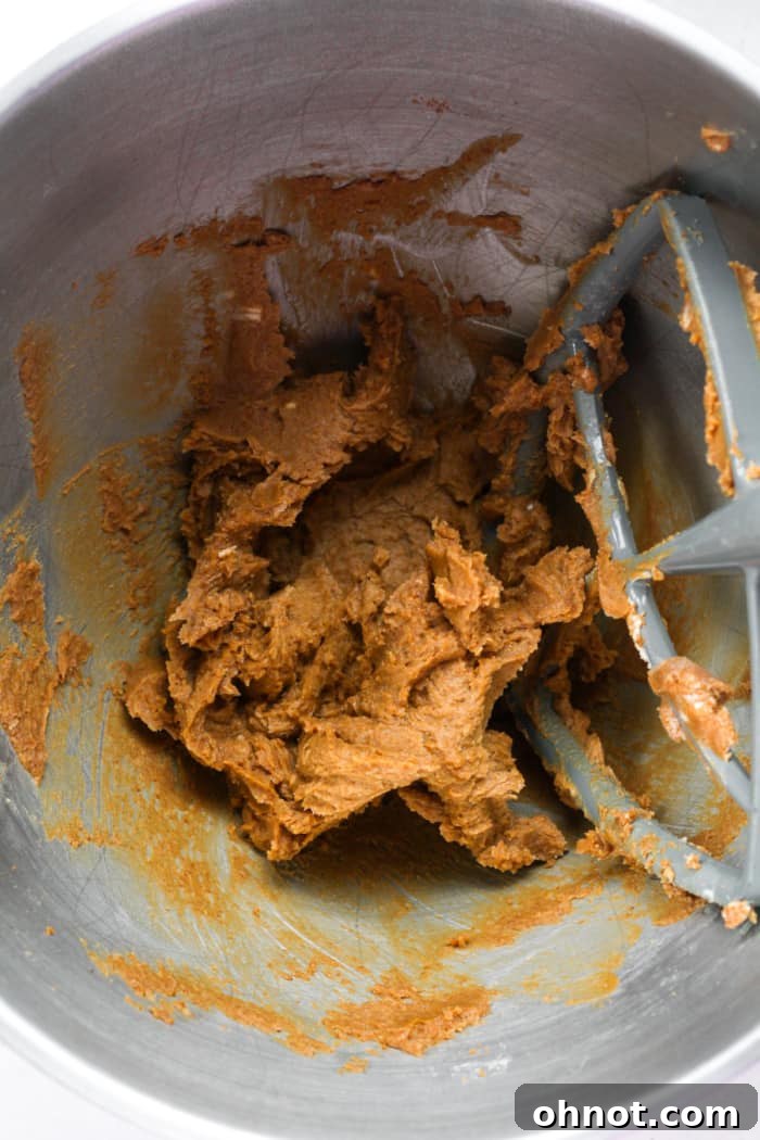 Coconut sugar and cold butter being creamed together in a stand mixer bowl.