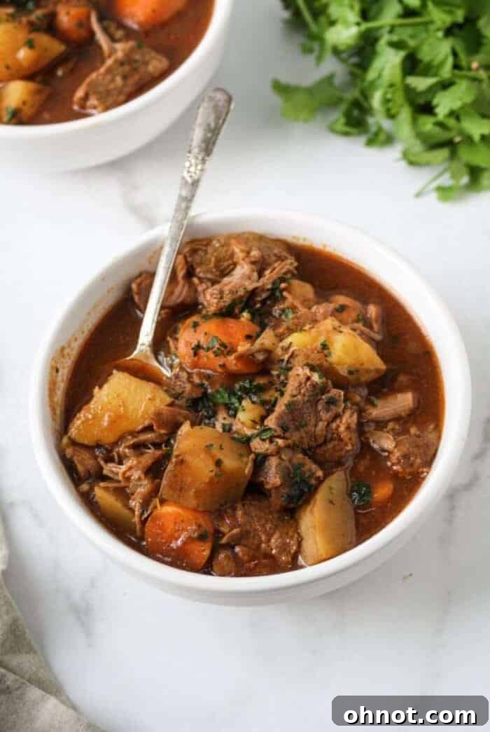Gluten-free stew with tender beef and various vegetables in a bowl.