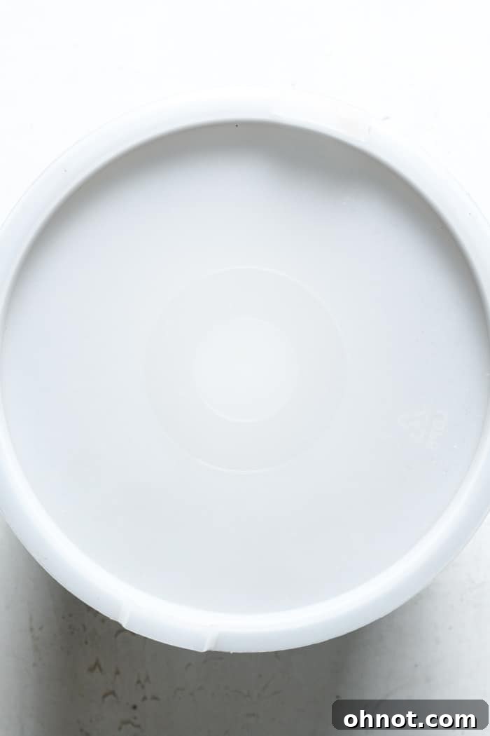 A mixing bowl covered with a lid, indicating the dough is now resting to ferment at room temperature.