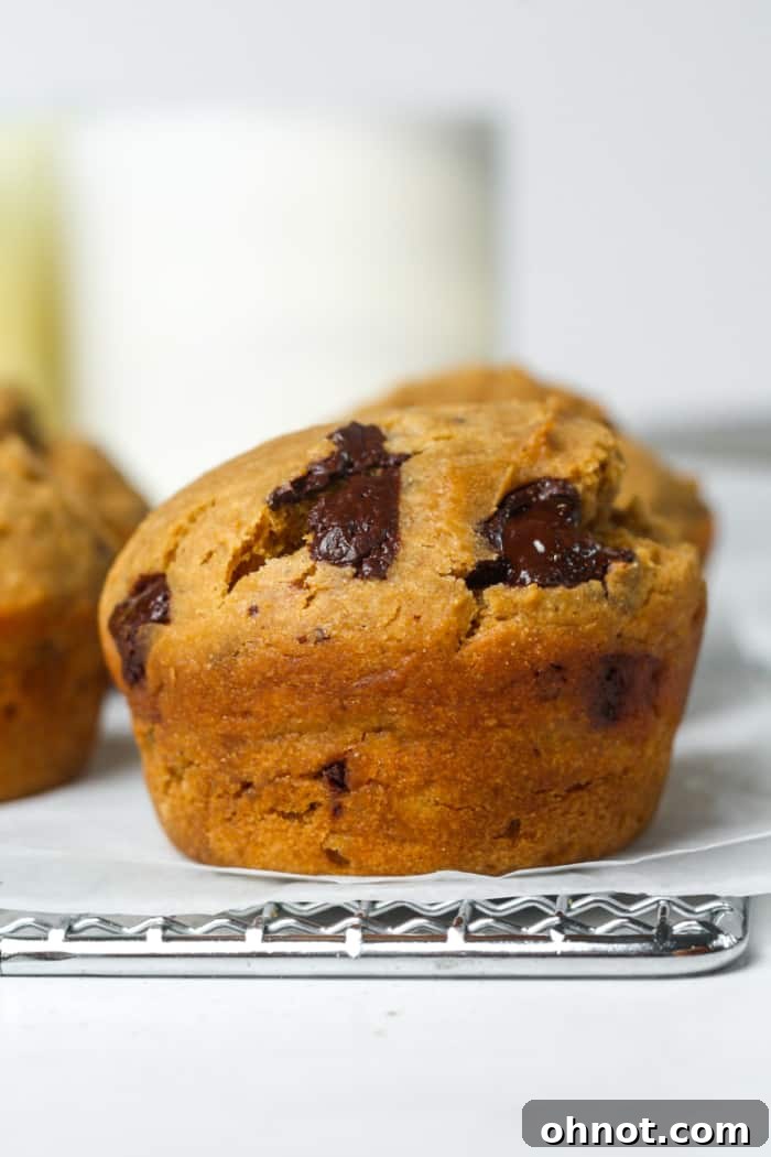 Soft baked sourdough muffin.