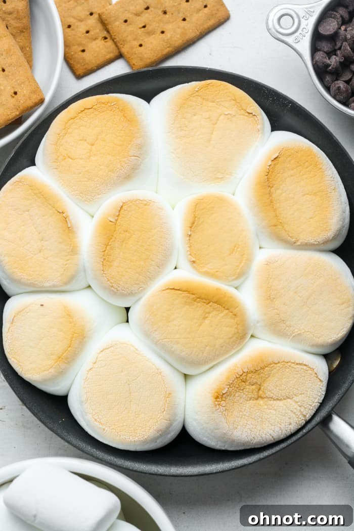 S'mores dip.