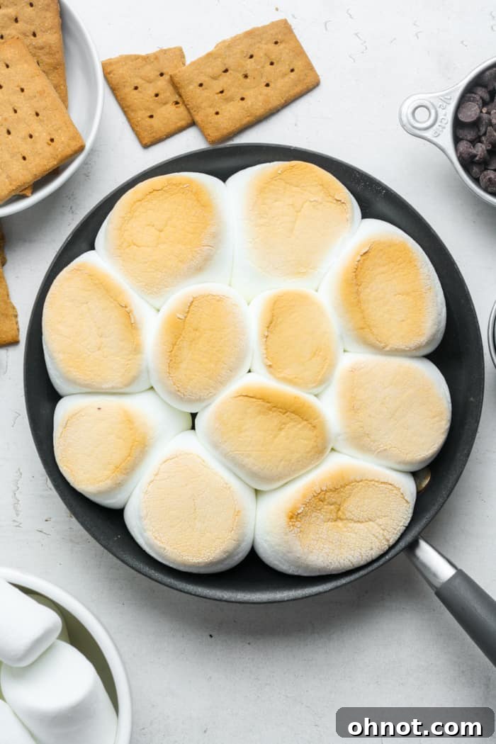 S'mores dip in skillet.