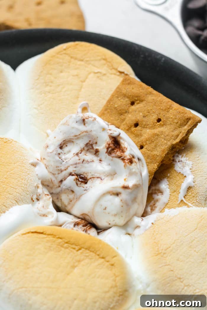 S'mores dip on graham cracker.