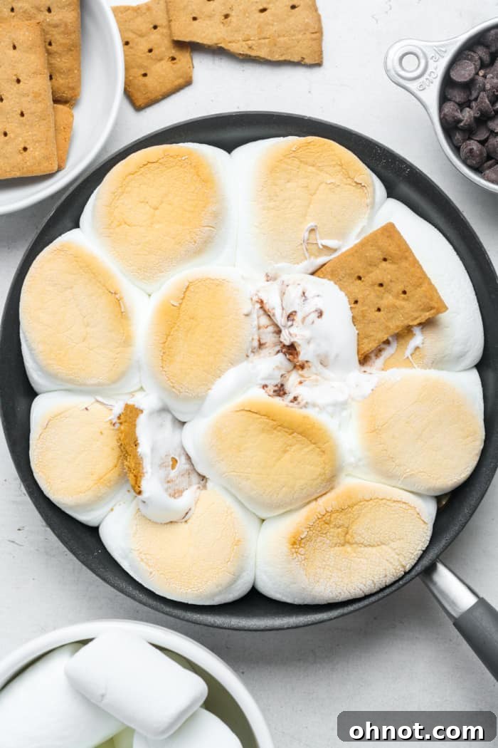 S'mores dip with crackers.