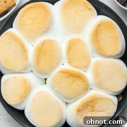 S'mores dip.