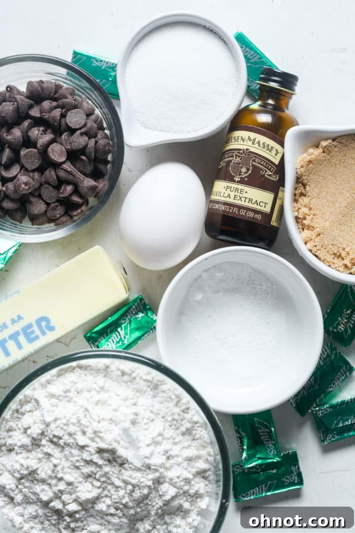 Close-up of mint chocolate chip cookie dough ready for baking.