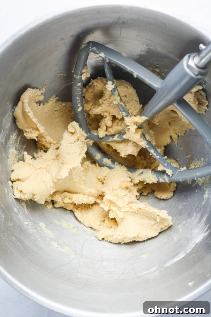 Dough in a mixer bowl after dry ingredients are added.