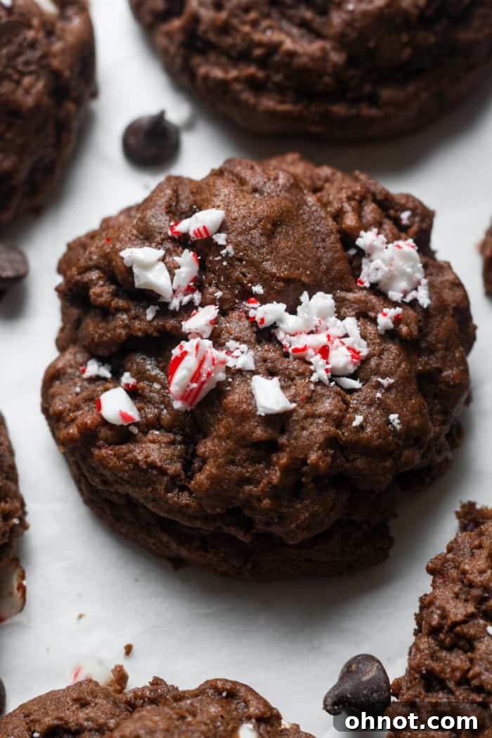 Chocolate peppermint cookies, garnished with crushed candy canes, ready to be enjoyed during the holiday season.