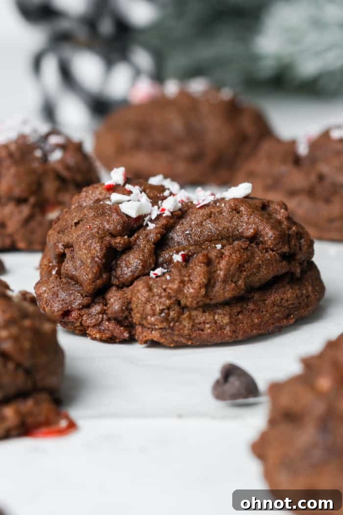 Beautifully arranged bakery-style double chocolate cookies, enticing and ready to be eaten.