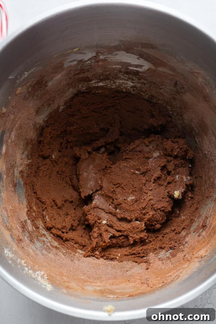Thick cocoa cookie dough in a bowl, after dry ingredients have been incorporated.
