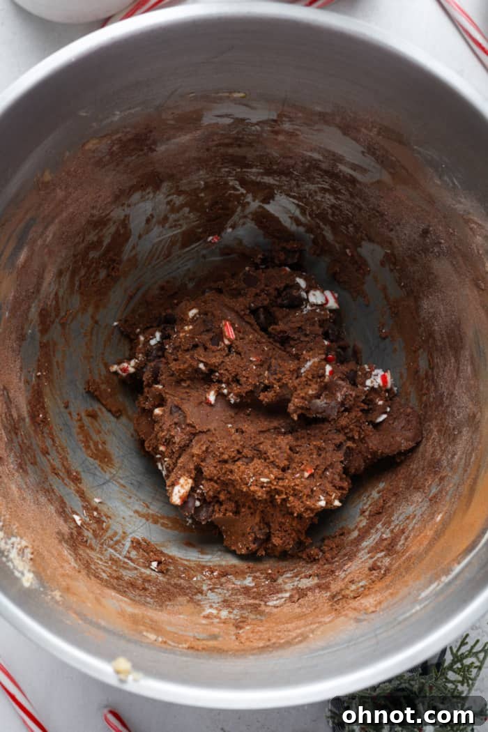 Peppermint chocolate cookie dough with chocolate chips and candy cane pieces folded in.