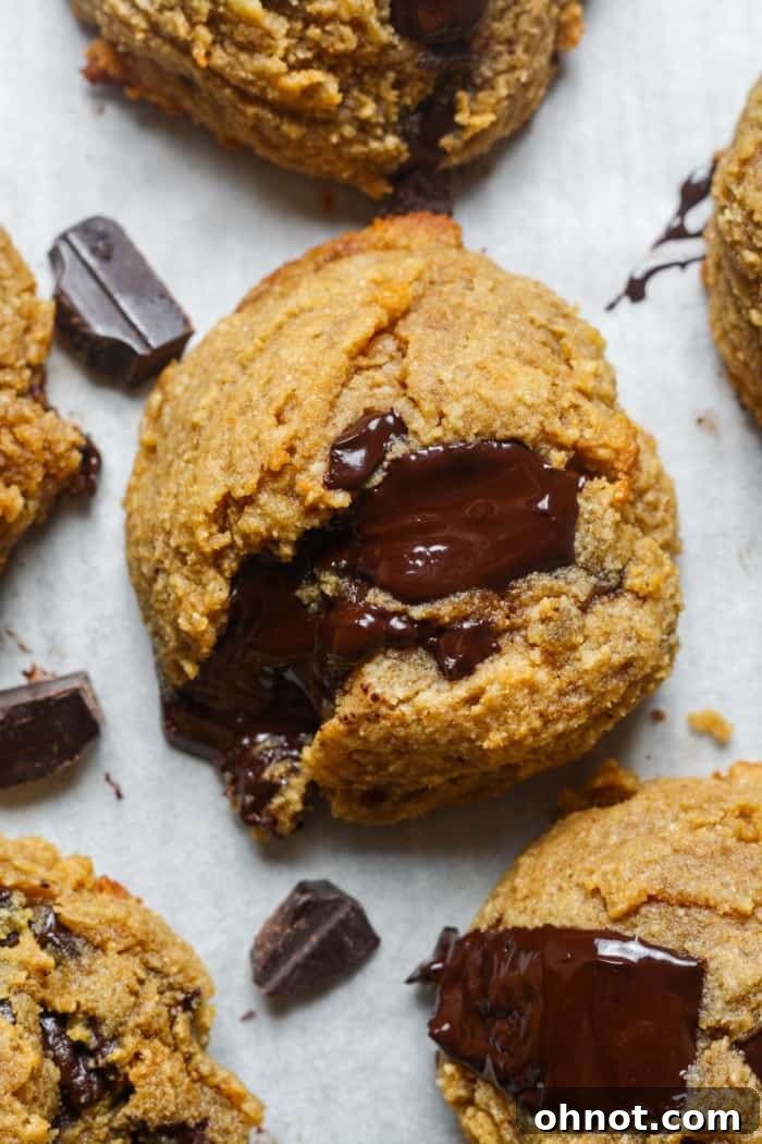 Healthy chocolate chip cookies with perfect texture and delicious taste.