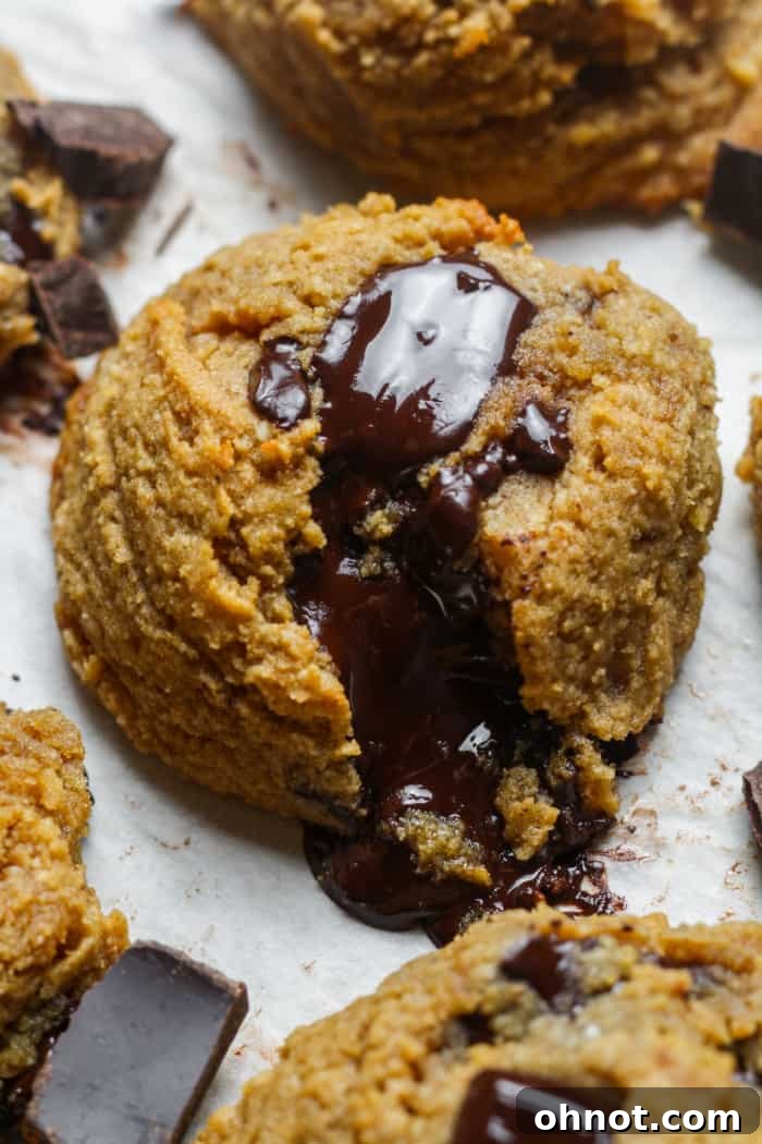 Melted chocolate chunk cookies close up.