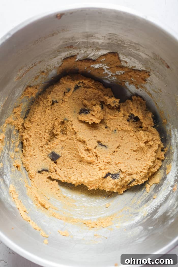 Chocolate chips folded into cookie dough.